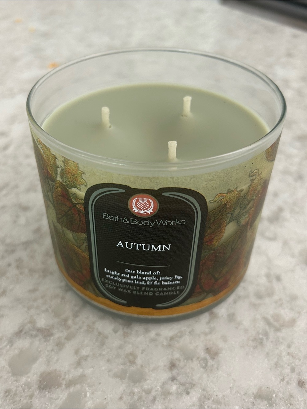 “New” Bath & Body Works Autumn 3-Wick Candle